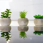 Garden House דירה *